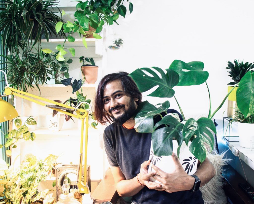 A man chooses a philodendron as one of the best easy-to-care-for plants for his living space.